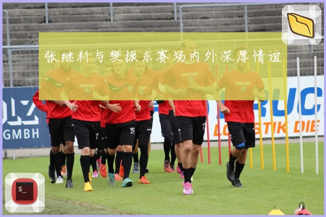 张继科与樊振东赛场内外深厚情谊