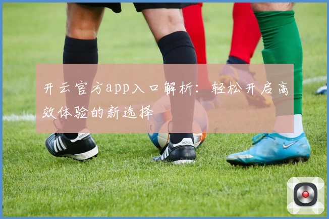 开云官方app入口解析：轻松开启高效体验的新选择