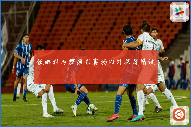 张继科与樊振东赛场内外深厚情谊